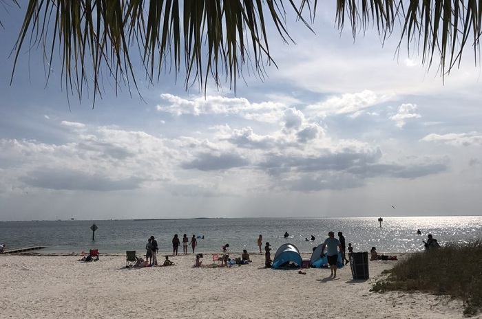 1494289622826784CRax.jpg IMG_0266.JPG